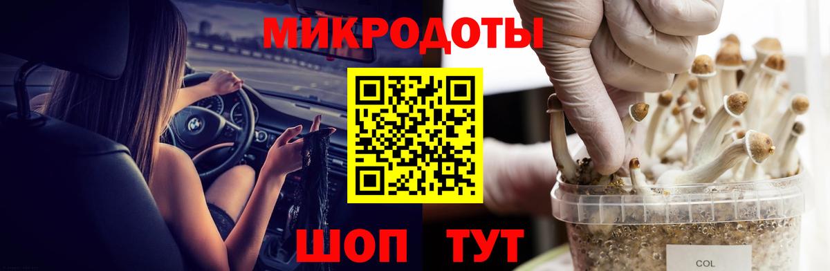 Гусь-Хрустальный  Галлюциногенные грибы Psilocybe  Вход с VPN 