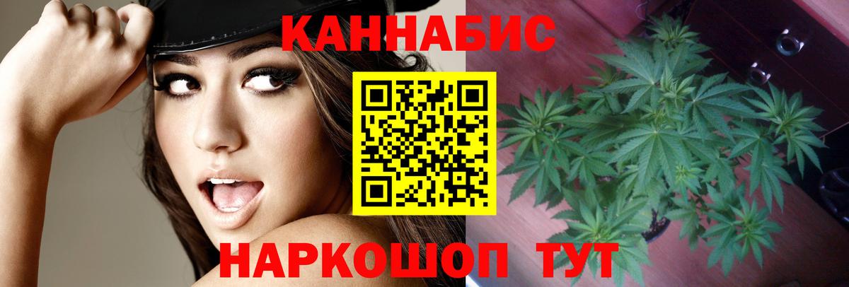Бошки марихуана MAZAR Гусь-Хрустальный